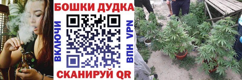 Где можно купить наркотики Железногорск Марихуана Меф Альфа ПВП Гашиш