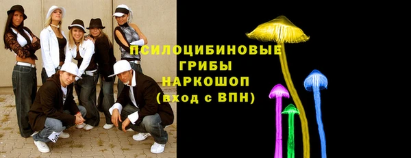 гидра Заволжье