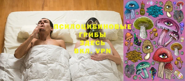 меф Заводоуковск