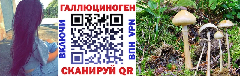 Псилоцибиновые грибы мухоморы  Железногорск 