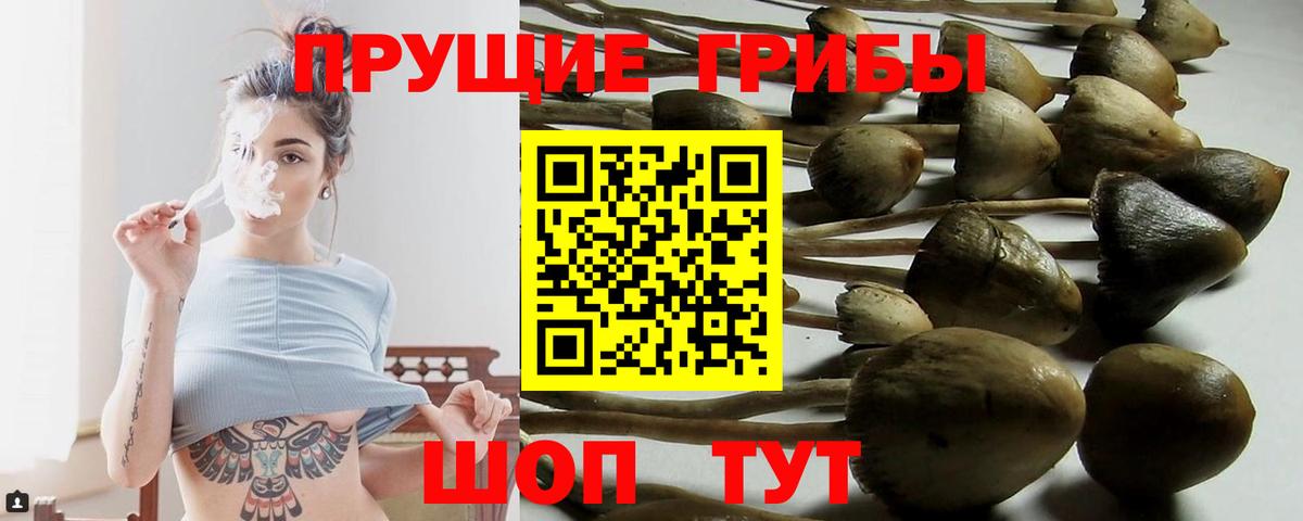 Псилоцибиновые грибы MAGIC MUSHROOMS Железногорск