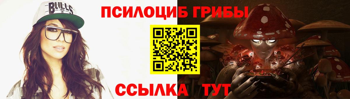 Железногорск  Галлюциногенные грибы прущие грибы  Вход с VPN 